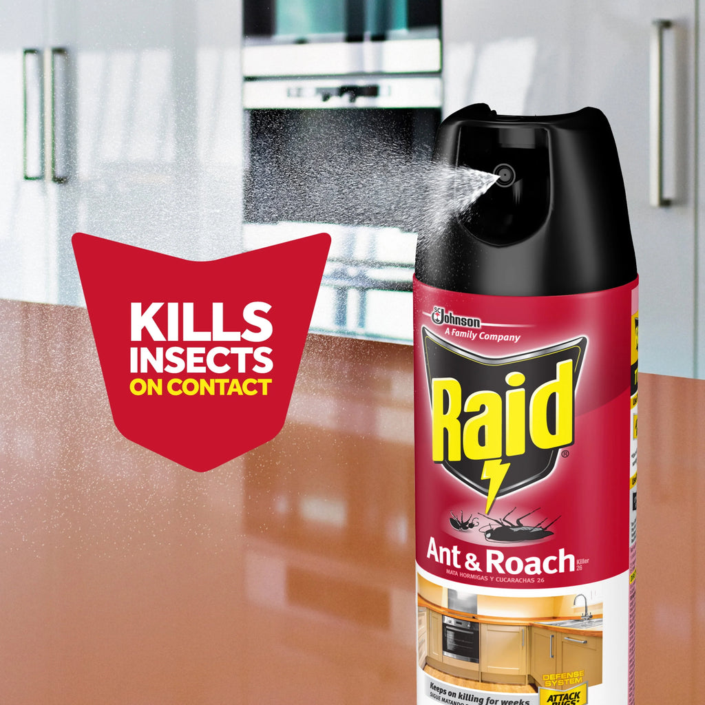 Fragrance-Free Ant & Roach Killer 17.5 fl oz 2 ct S29061