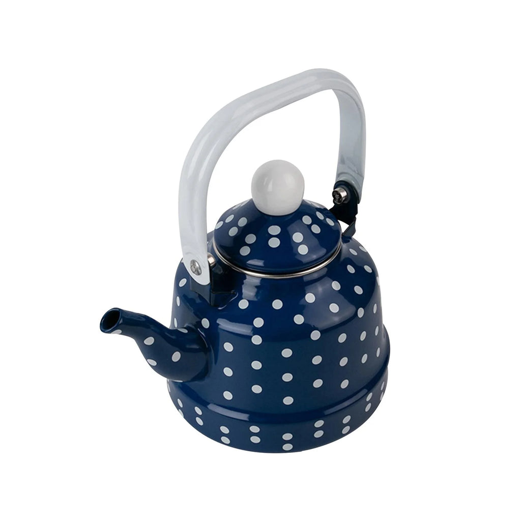 Blue Enamel Heating Water Kettle M1849