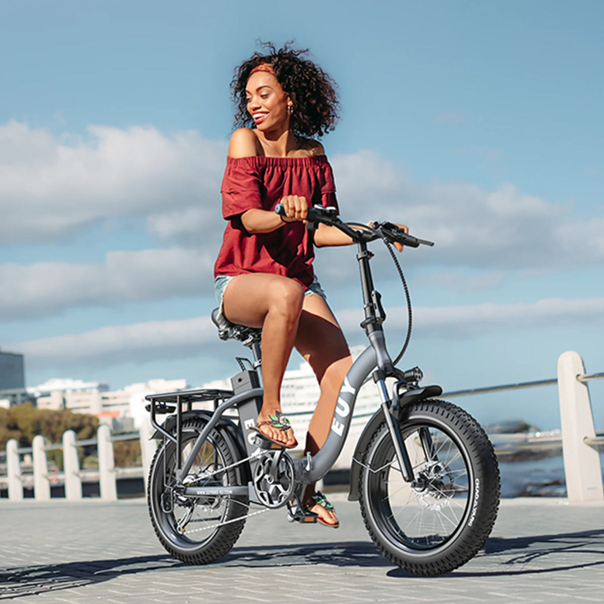Electric Bike 750W Motor 20 Fat Tire 48V 15Ah Battery W340