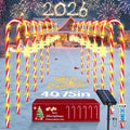 24 Pack Solar Candy Cane Lights with Remote G887