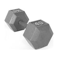 25lb Cast Iron Hex Dumbbell X1632