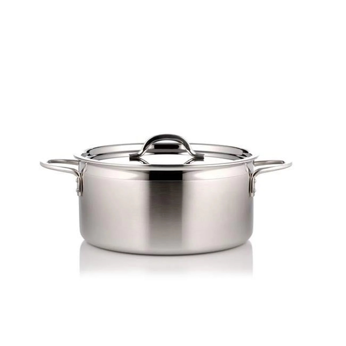 Stainless Steel 5 quart Pot with Cover W82403