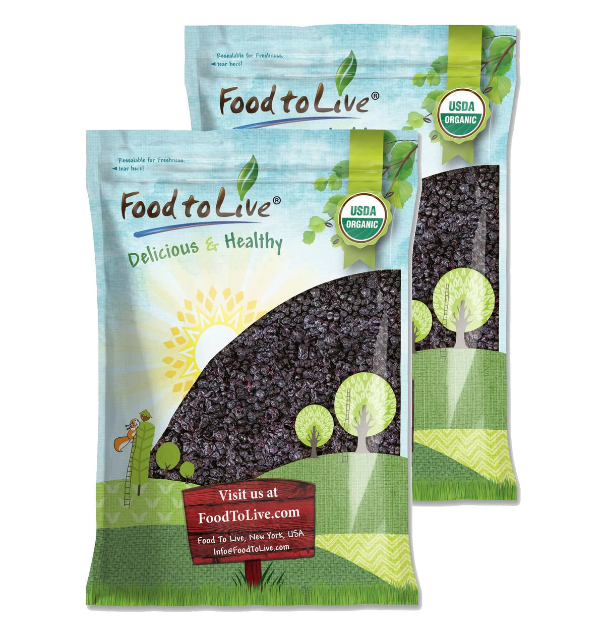 Dried Blueberries, 16 Pounds H495