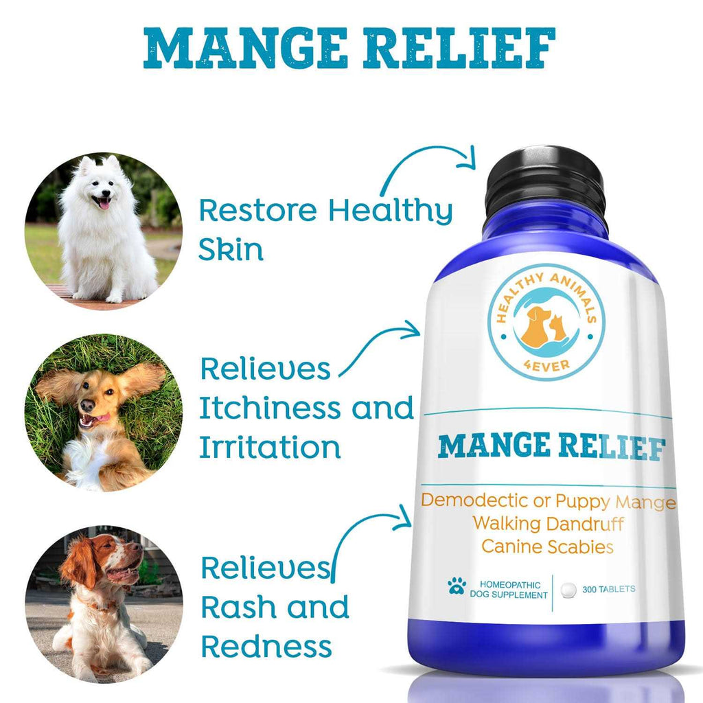 Dog Itchiness Relief Treatment R182