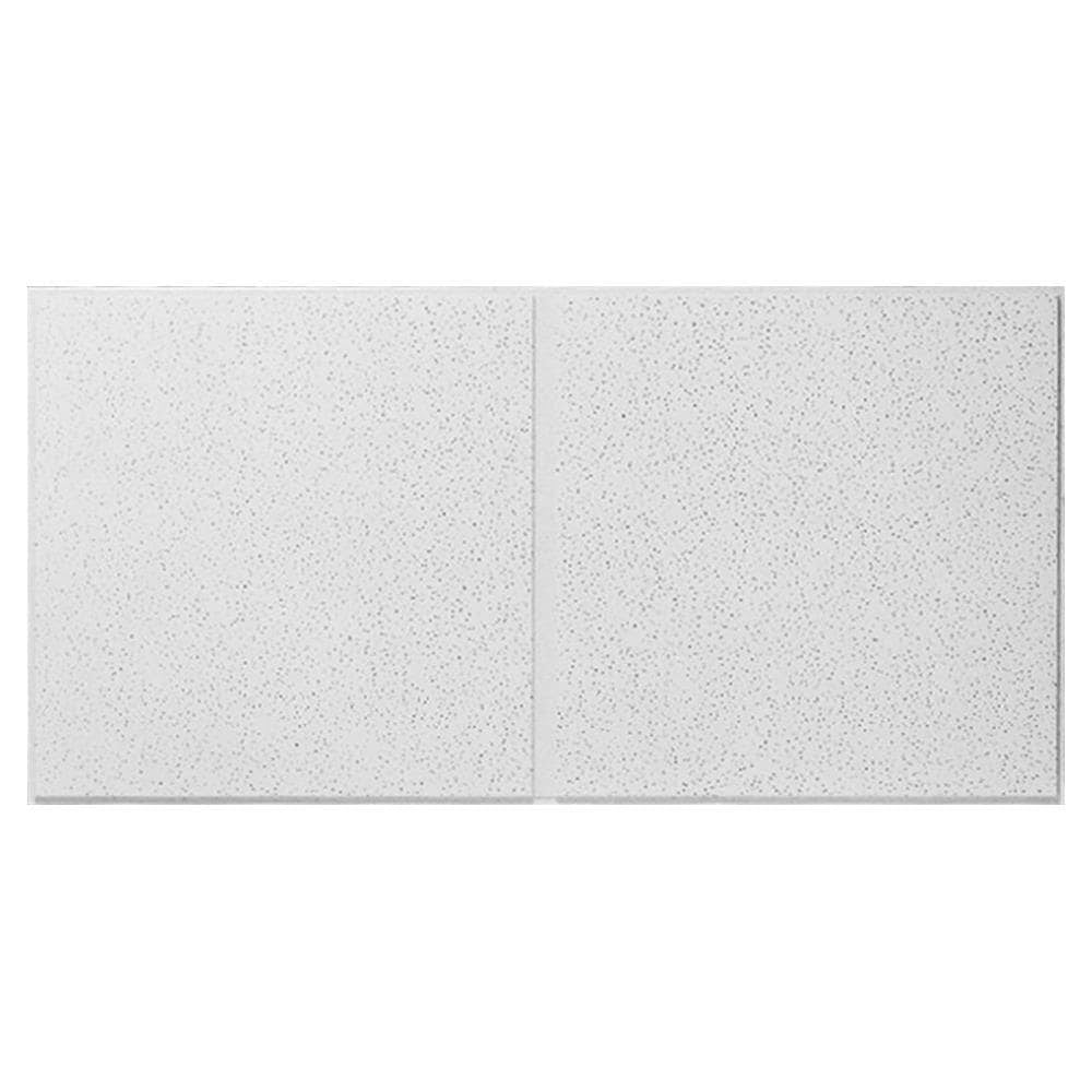 Mineral Fiber Ceiling Tile, 24 in x 48 in, 3/4 in, Pk 10 I961