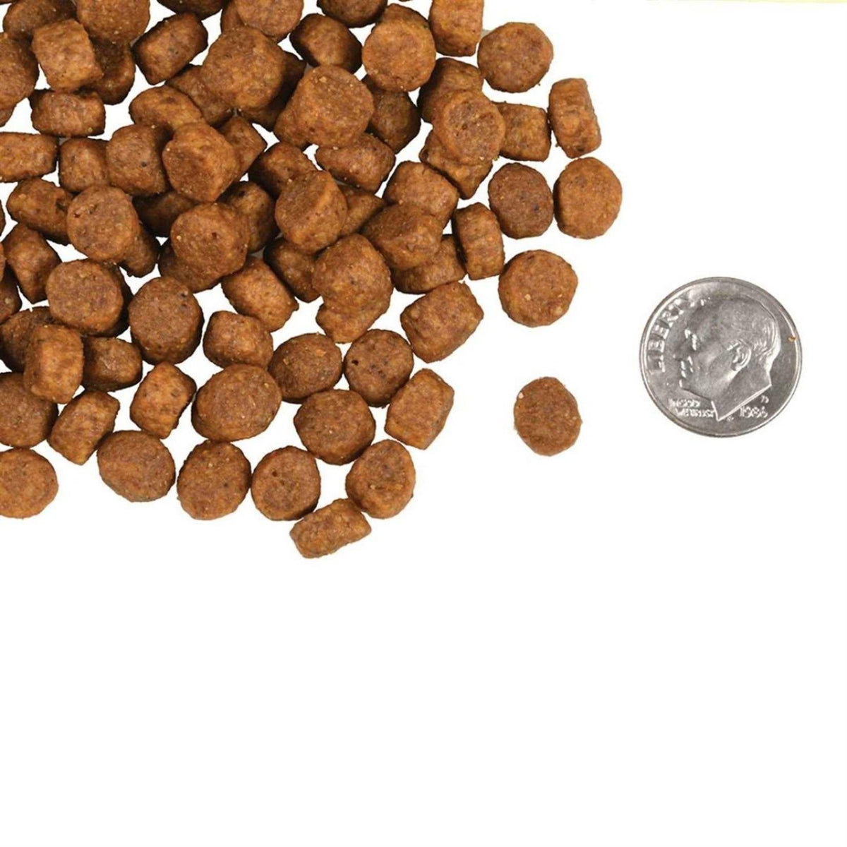 Dry Dog Food F42302