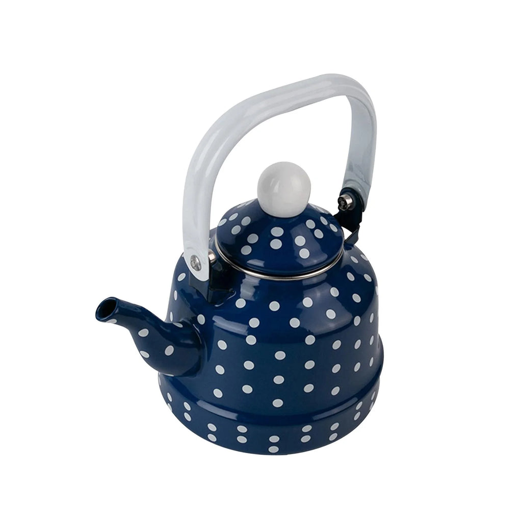 Blue Enamel Heating Water Kettle M1849