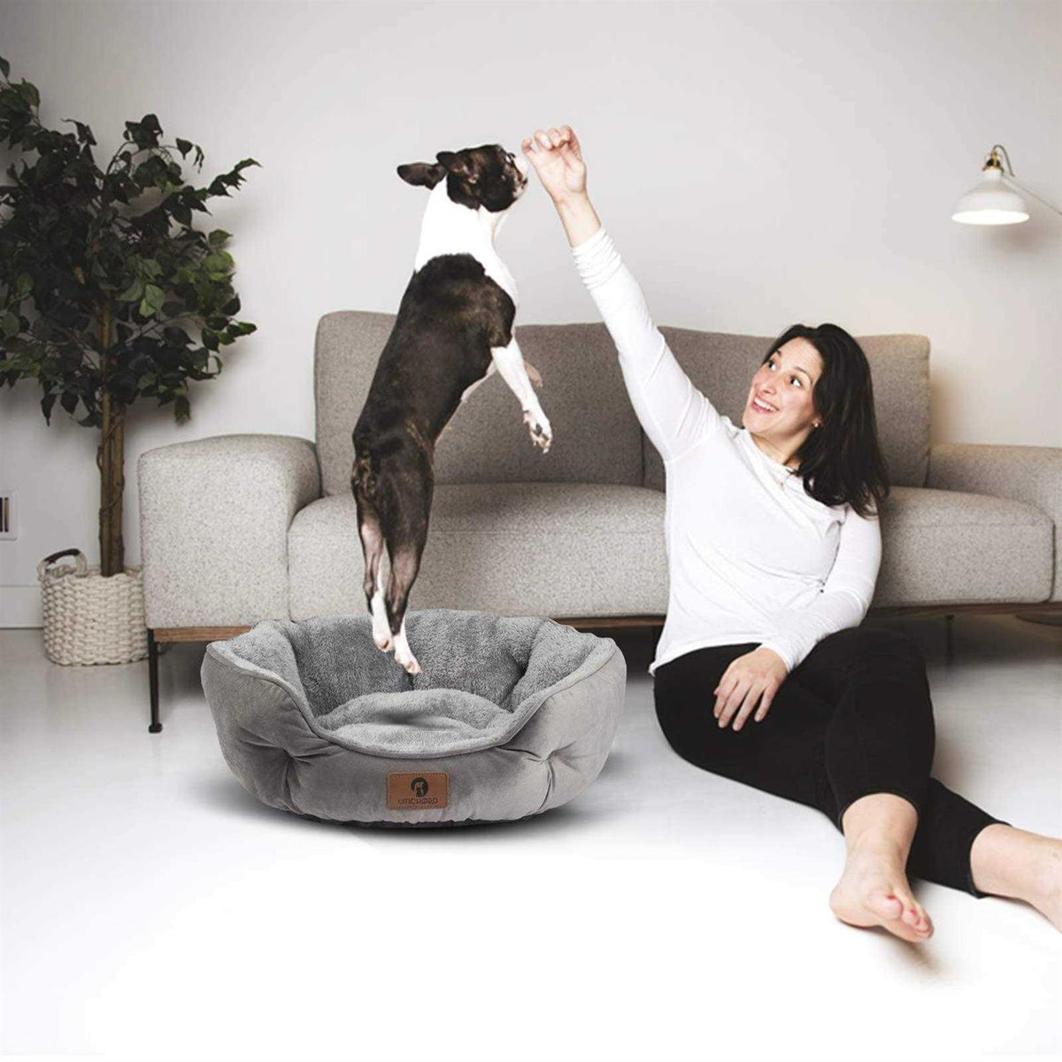 Small Dog Bed Cat Bed Pet Bed E7740