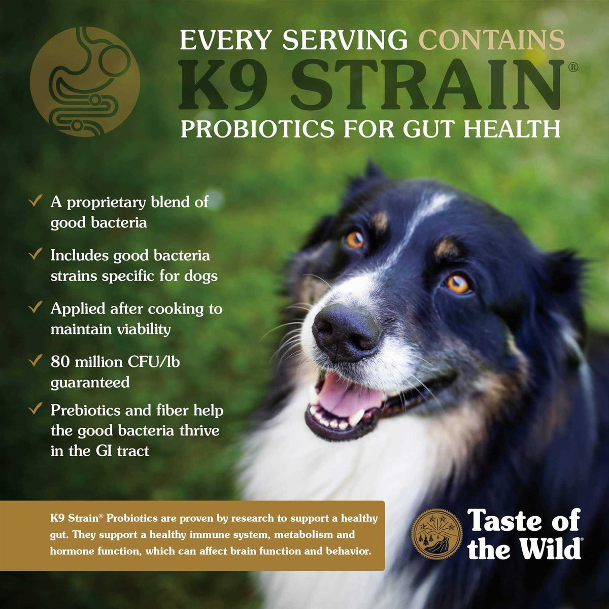 Dog Food A14770