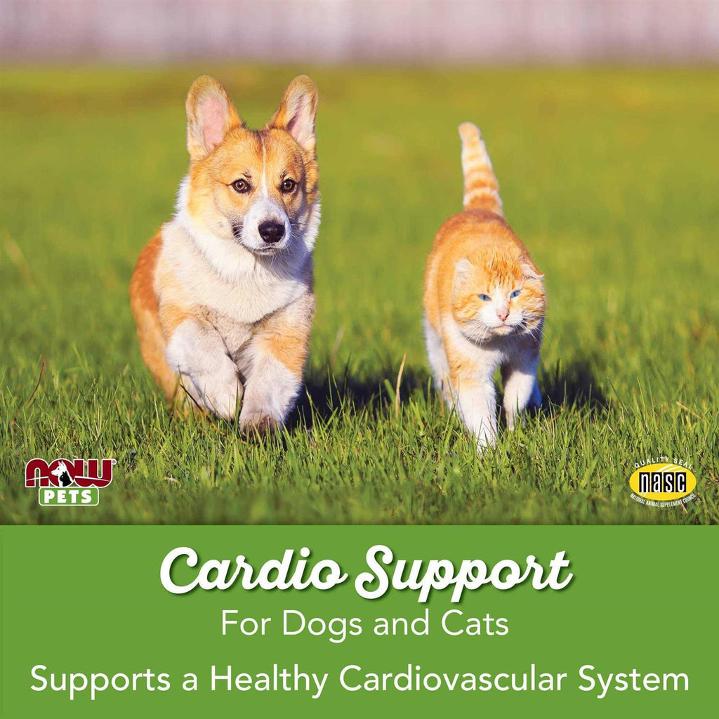 Cardiovascular Support for Dogs & Cats P915