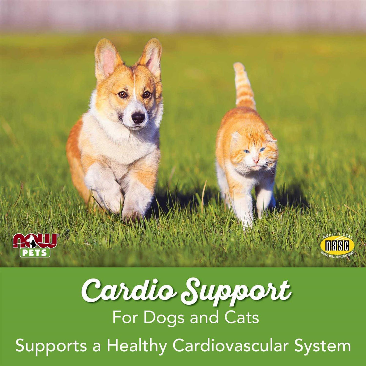 Cardiovascular Support for Dogs & Cats P915