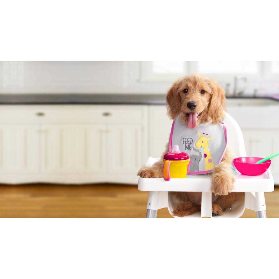 Dry Dog Food F42302