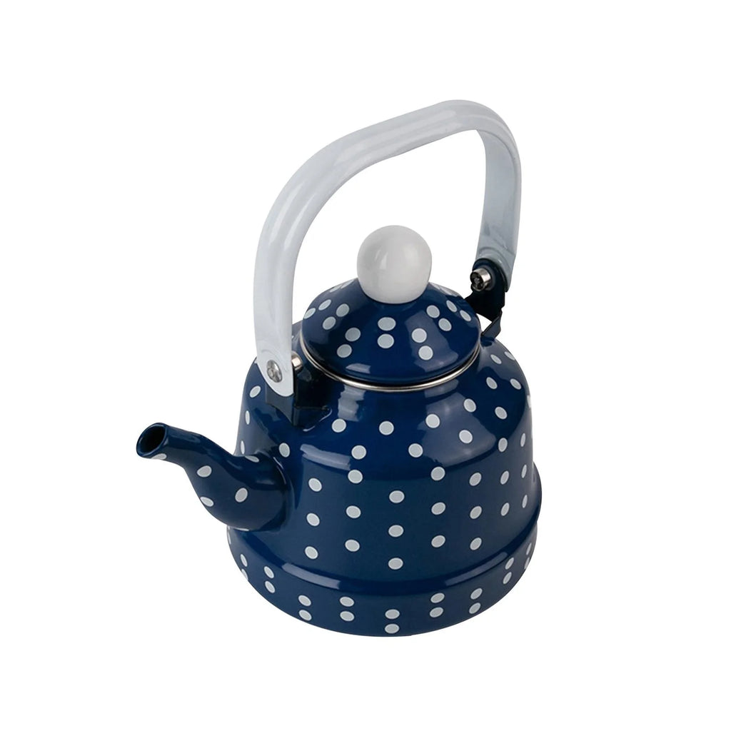 Blue Enamel Heating Water Kettle M1849