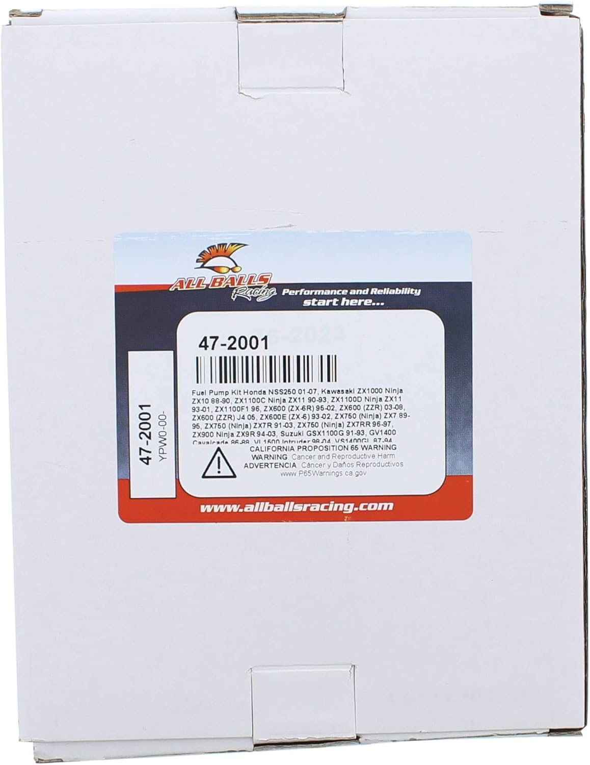 Fuel Pump Kit Pack of 2 E581