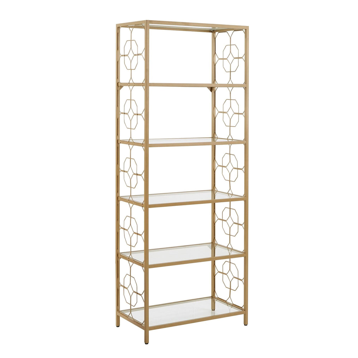 Gold Metal and Glass Bookcase D140