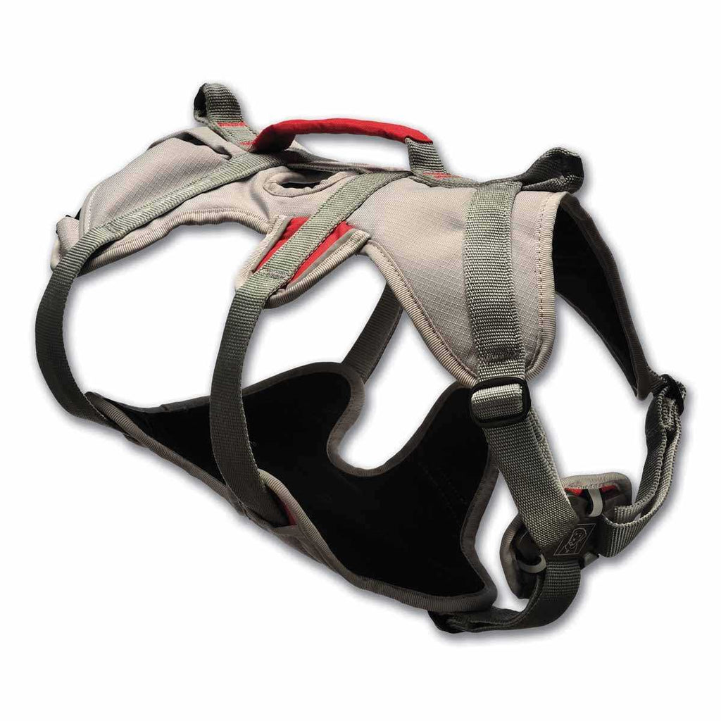 Doubleback Harness S4692