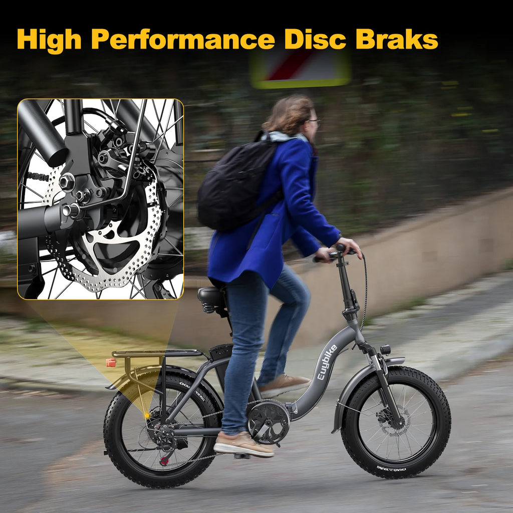 Electric Bike 750W Motor 20 Fat Tire 48V 15Ah Battery W340