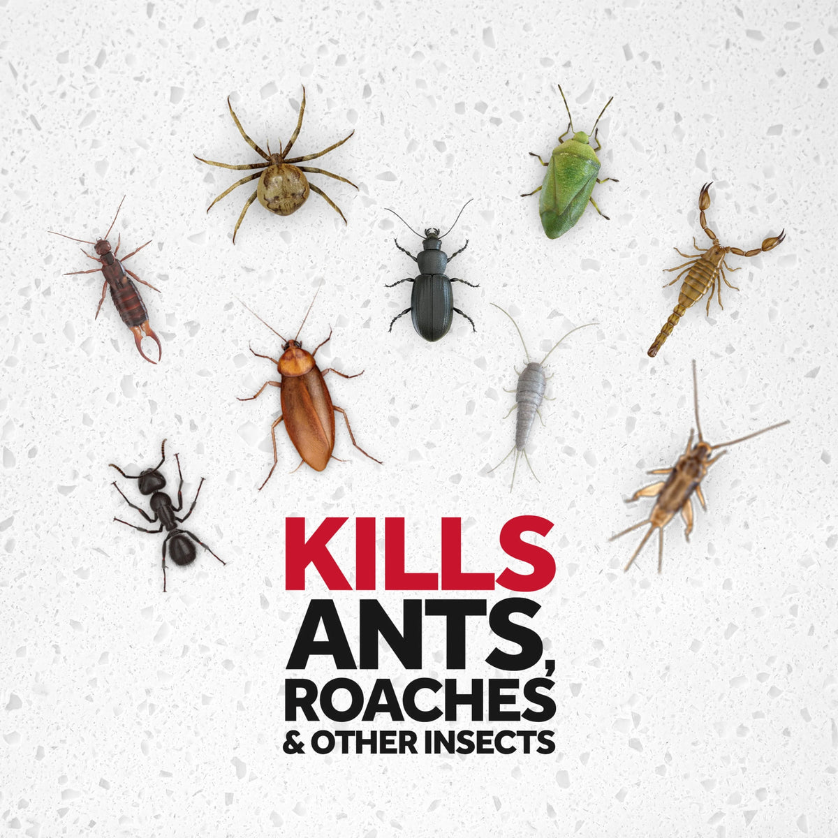 Fragrance-Free Ant & Roach Killer 17.5 fl oz 2 ct S29061