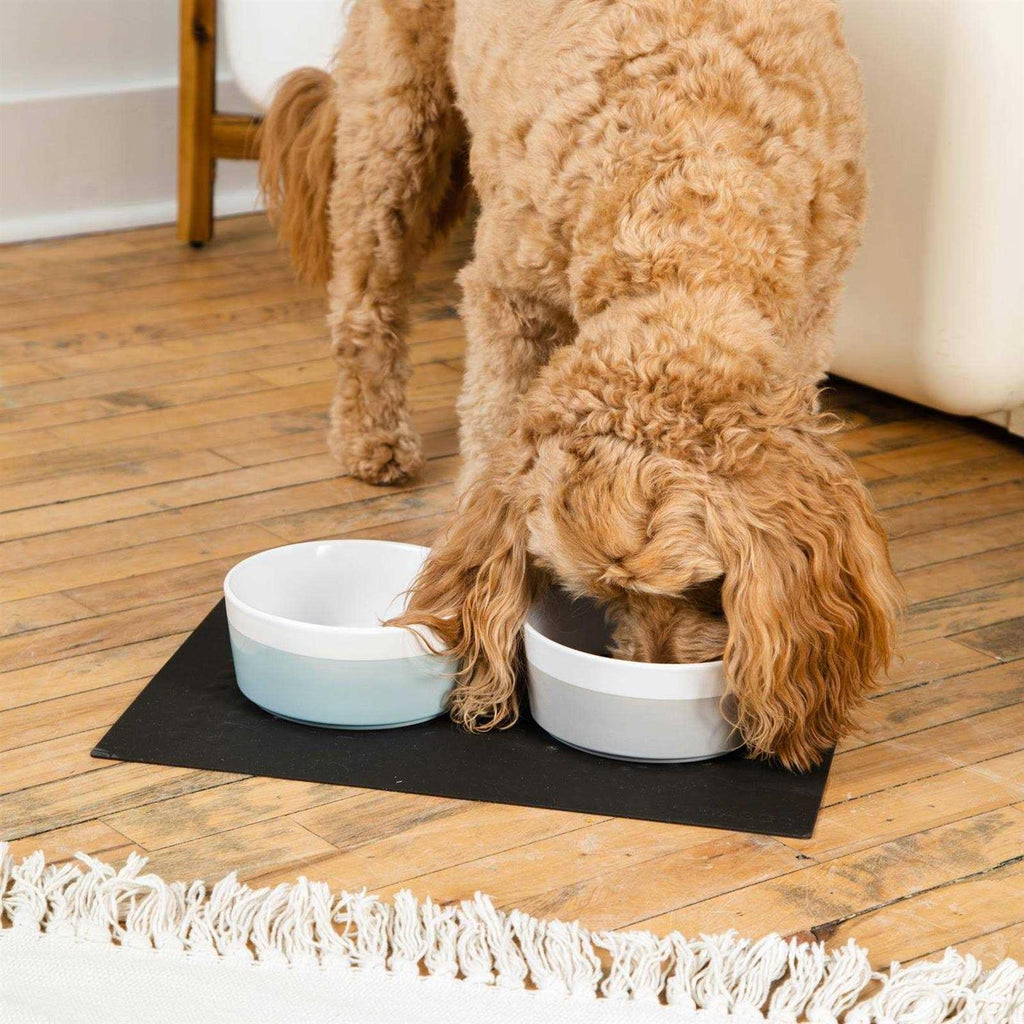 Dog Placemat I824796
