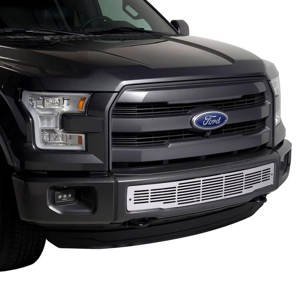 Bumper Grille Insert Y625098