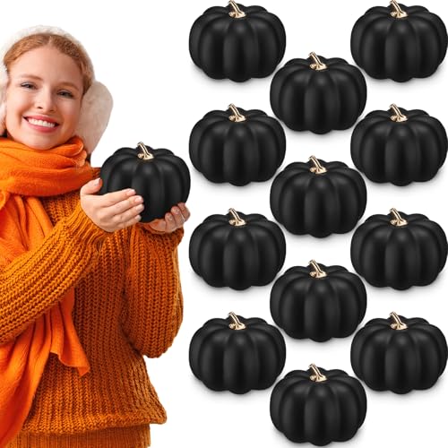 12 Pcs 6" Black Artificial Pumpkins J91447