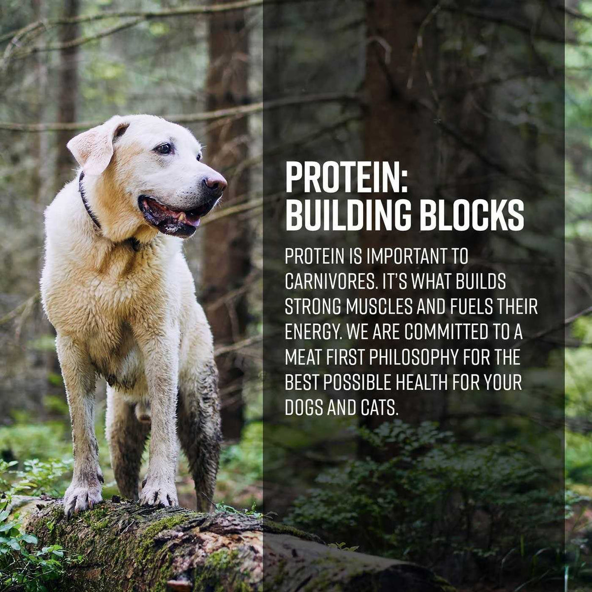 Gamefowl Dog Dry Food U2460