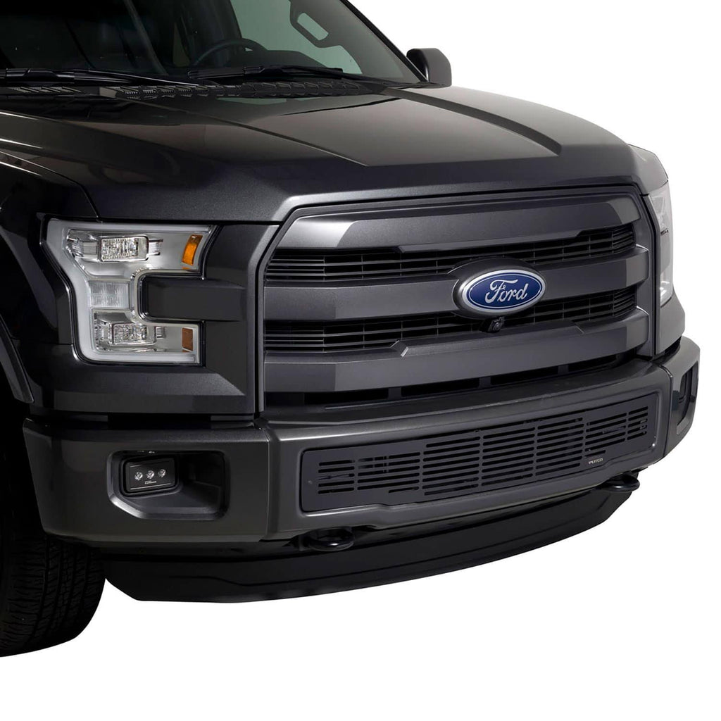 Bumper Grille Insert Y625098