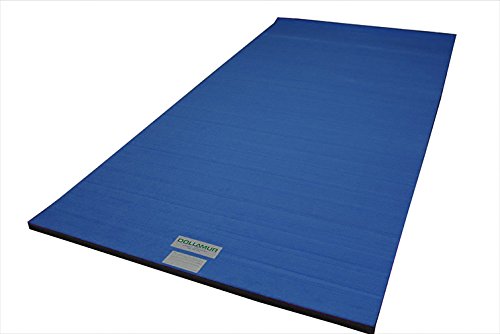 5'x10'x1-3/8" Carpeted Gymnastics Mat Z269