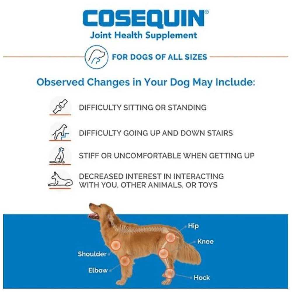 Dog Joint Health Supplement F136478