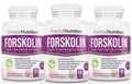 Pure Forskolin Extract 250mg 20% Coleus Forskohlii 90 Ct N232