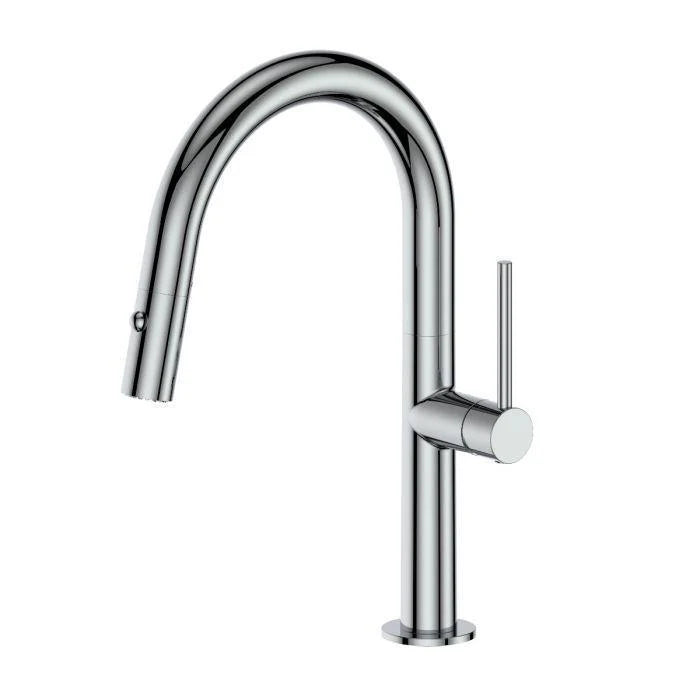 Chrome Kitchen Faucet V68770