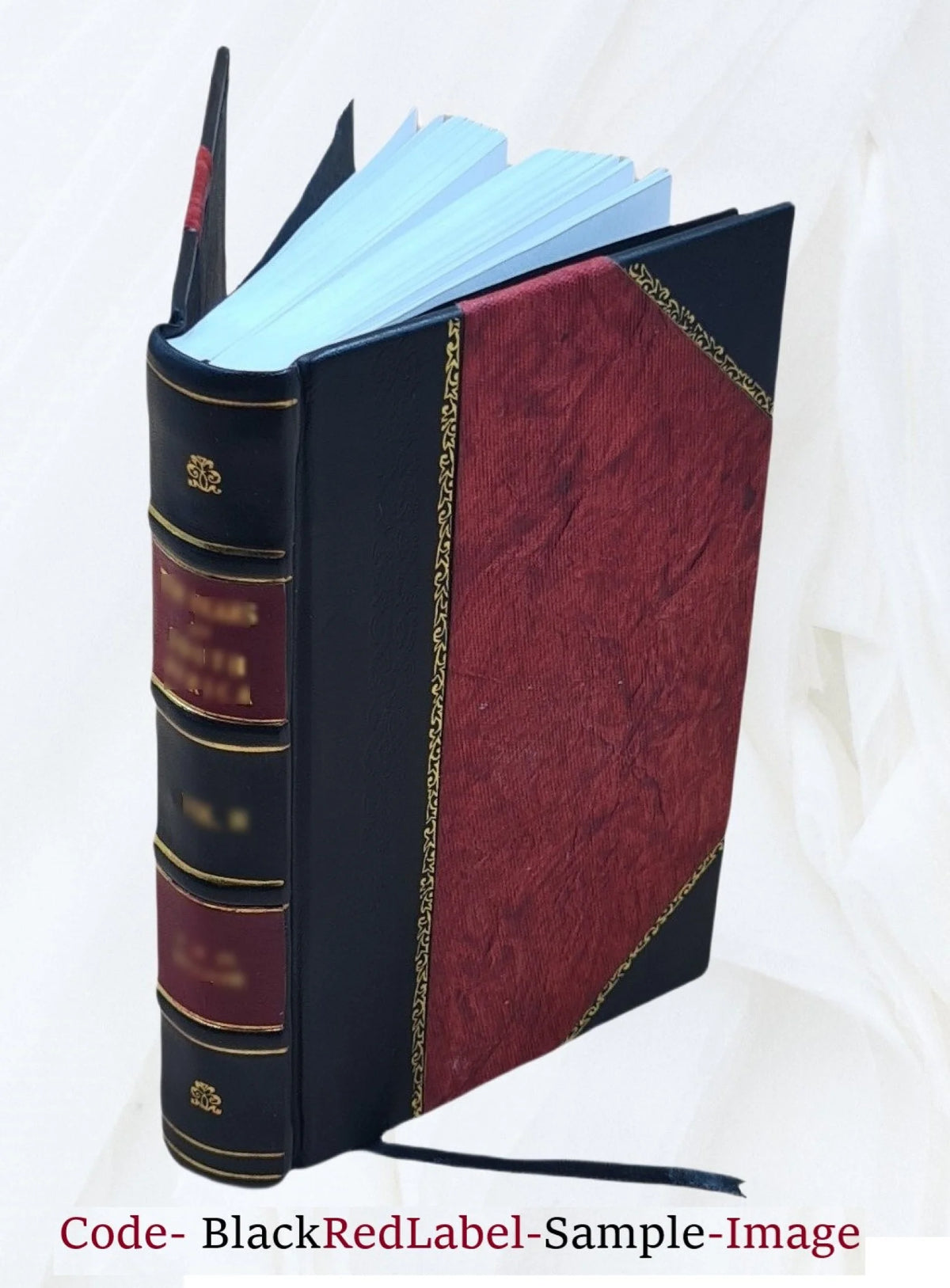 Leather Bound X219167
