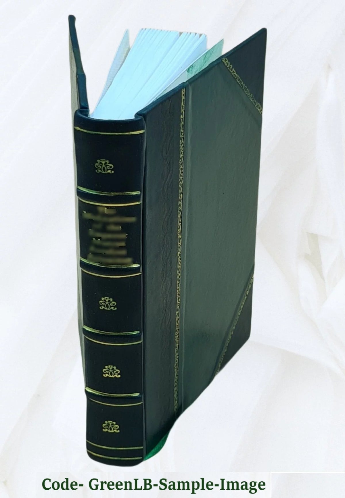 Leather Bound T89858
