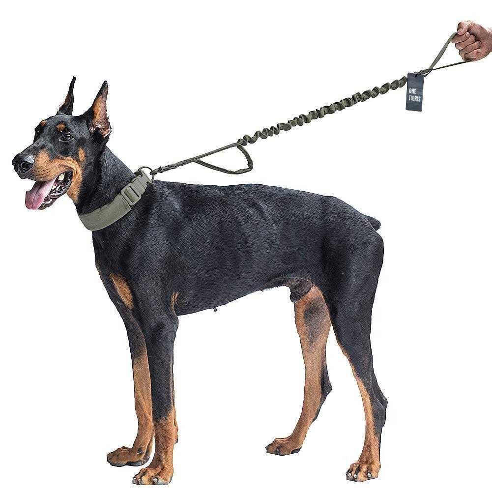 Tactical Dog Training Bungee Leash with 2 Control Handle Quick Release Nylon C1750